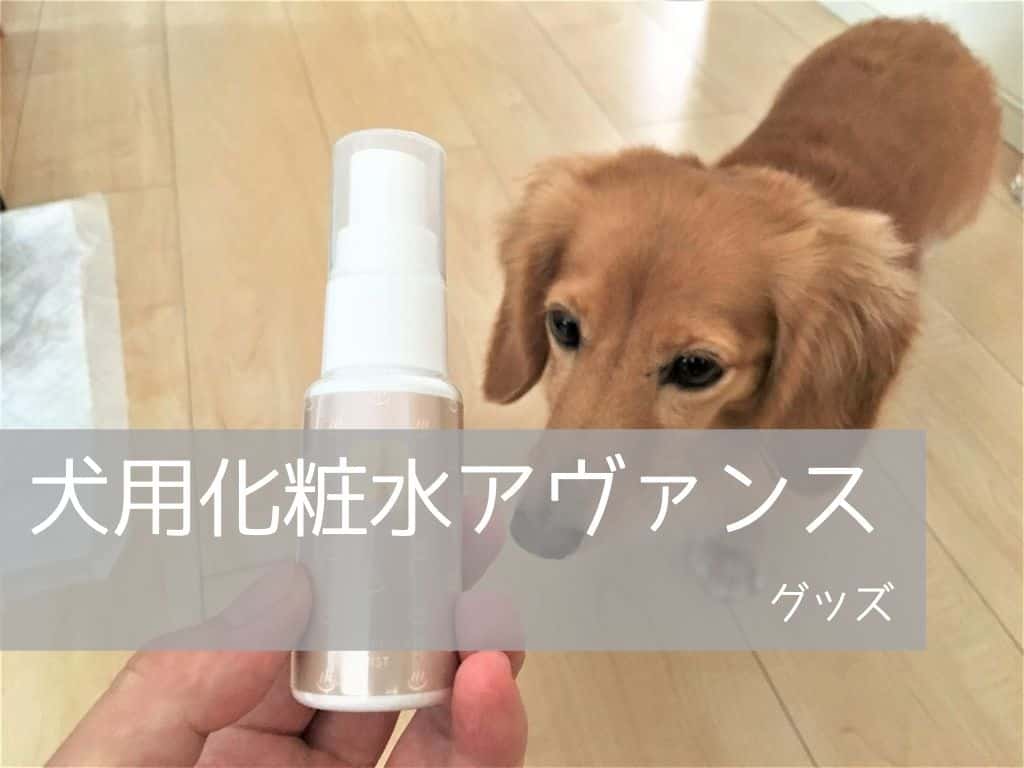 ベタベタしない 犬の化粧水は肉球クリームよりもおすすめ わんこを優先しますが 何か