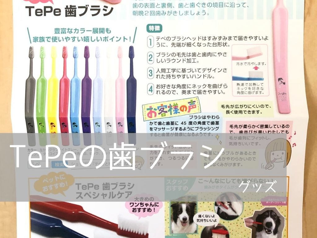 TePeの歯ブラシは犬にも使いやすい！